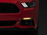 Photo - Close Up