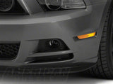 Photo - Close Up