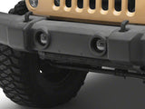 Photo - Close Up