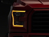 Photo - Close Up